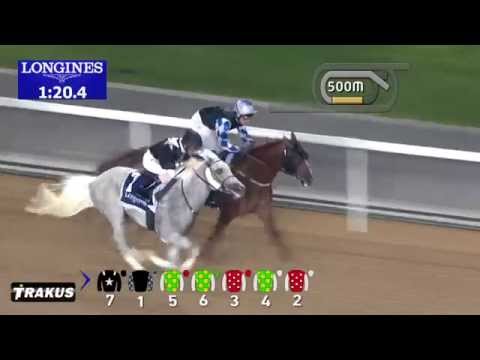 08.01.2015 Meydan (Dubai/UAE) 1.Race Al Maktoum Challenge R1 - Group I 1.600 m