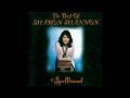 Sharon Shannon - Reel Beatrice  [Audio Stream]