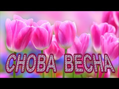 СНОВА  ВЕСНА  КАРАОКЕ