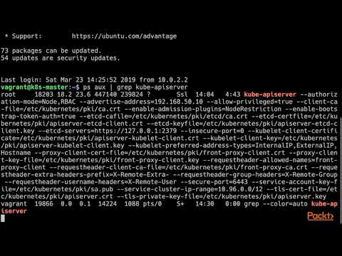 Hands On Kubernetes Networking The Kubernetes API Server|packtpub com