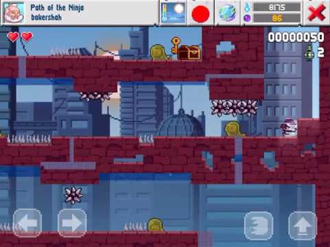 Path of the Ninja