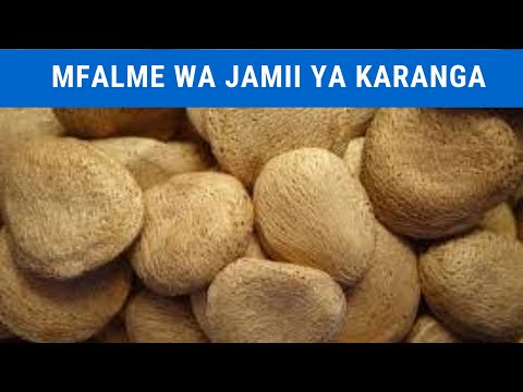 , title : 'MAKUNGU/KWEME 'OYSTERNUTS' - Mfalme wa Jamii za Karanga, Asili ya Tanzania | Faida na Matumizi Yake'