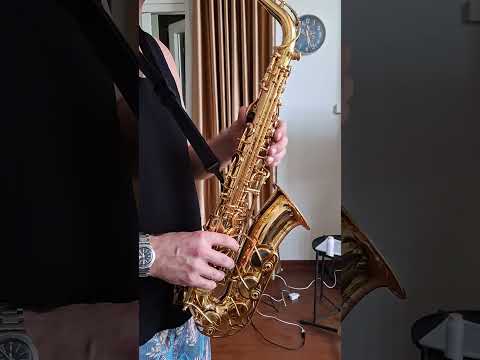 NO TARIFFS - Yamaha YAS-62 Alto Saxophone Purple Logo image 23