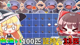 【検証】色違いを100匹捕まえたら証持ちは何匹出るのか！？【ポケモンSV】【ゆっくり実況】