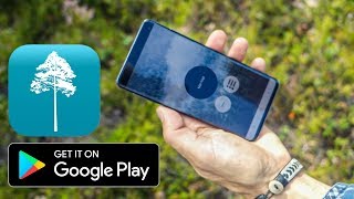 Arboreal - Height Of Tree Android Evaluation