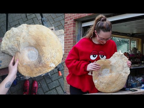 Prepping My Biggest Fossil Find! MEGALYTOCERAS Ammonite - Fossil Friday