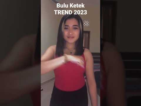 Bulu Ketek TREND 2023