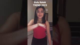 Download lagu Bulu Ketek TREND 2023 mp3