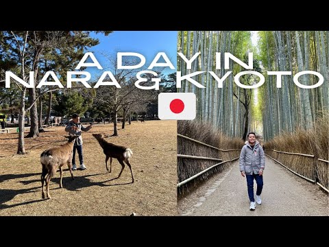 Japan 2024: A Day in Nara and Kyoto 🇯🇵 | STEVENTRAVELS