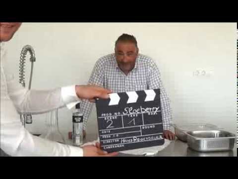 Wie kommen die Schlehen in den SLOEBERRY BLUE GIN?