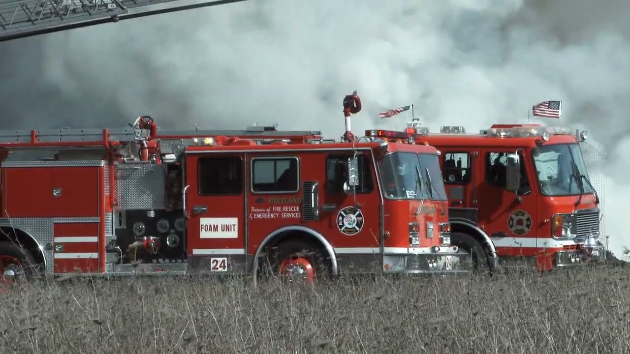 OmniPlex Diagnostics Overview