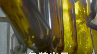 Video 2 trigger image