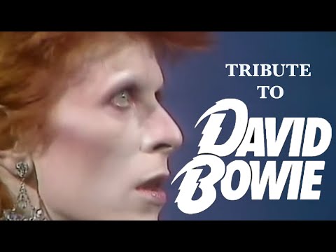 TRIBUTE TO DAVID BOWIE (Daft Punk style)