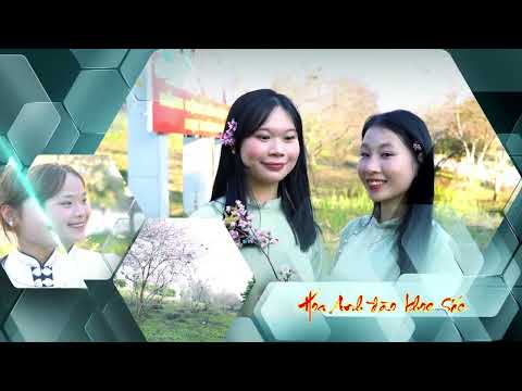 TÂN UYÊN MÙA HOA ANH ĐÀO KHOE SẮC – ĐIỂM CHECK-IN KHÔNG THỂ BỎ LỠ!