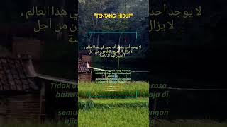 Download lagu URIP RASAH SPANENG #story #quotes #status #statuswhatsapp #quotes #statusvideo #quote mp3