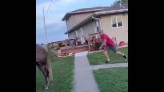 HORSE WITH NO NAME MEME