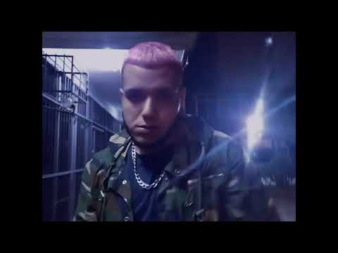 PANDA KPZ X DRAY | PLAYBOY