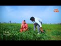 Devar Bhabhi Romance