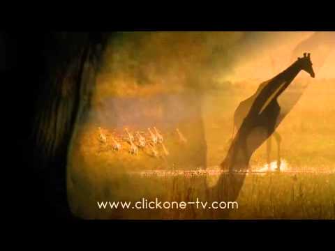 Click Tv