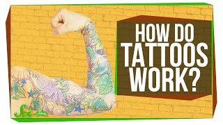How Tattoos Really Work... At Least in Mice