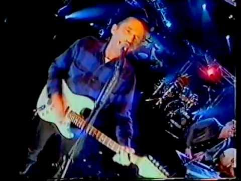 Nigel video