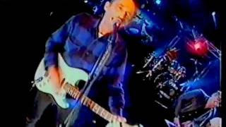 Mental As Anything : Nigel