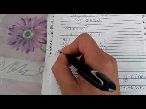 Como ganhar No Jogo Do Bicho Jogando No Gato? Acerte A Milhar Do Gato Na Cabeça