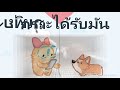 ส ปิ น ฟรี coin master ฟรีไม่ จํา กัด