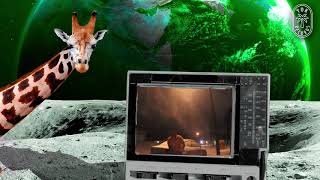 Timpo &amp; Raebardo-LSD Trips(Prod by. Miles D &amp; Timpo)