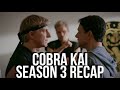 COBRA KAI Season 3 Recap | Netflix Series Explained