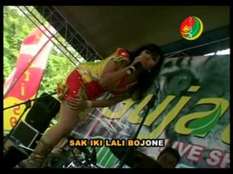 SARINTUL DUGEM BARENG ANJAZ