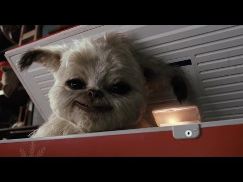 Trailer-Vorschau: Yoko