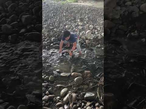 Reel tagged #fish