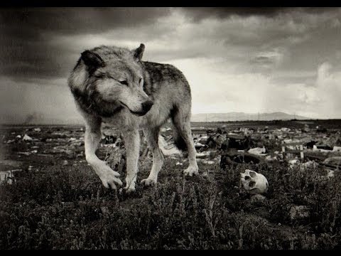 BiG WoLF Ft Bon$aTon - GRREP