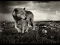 Grrep Big Wolf (Ft. Bonsaton)