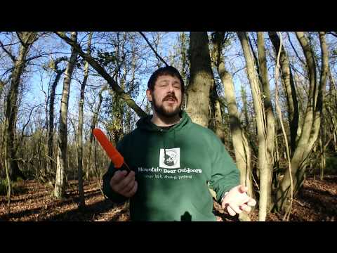 mora companion 10 years later