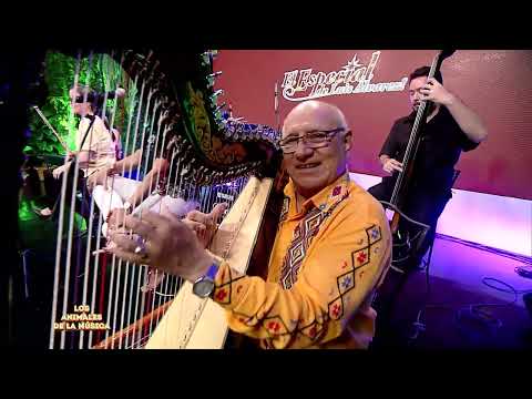 21 Panambi hovy - Los Animales de la Música.