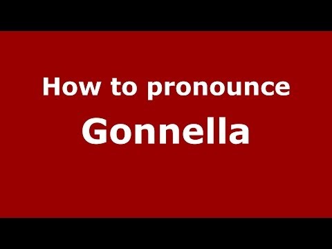 How to pronounce Gonnella (Italian/Italy) - PronounceNames.com