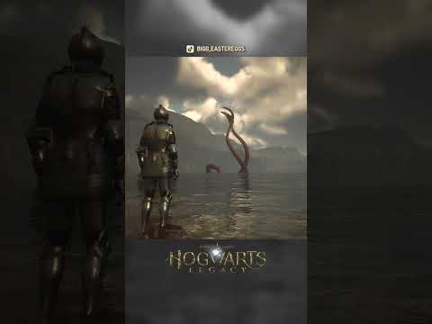 SUPER RARE Encounters in Hogwarts Legacy