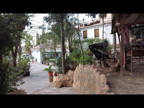 video image