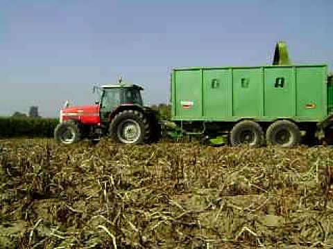 Willen F - Oudenaarde