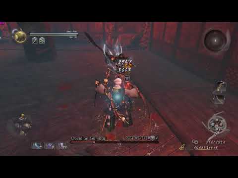Nioh - lvl1 - way of the nioh - obsidian samurai - dual swords