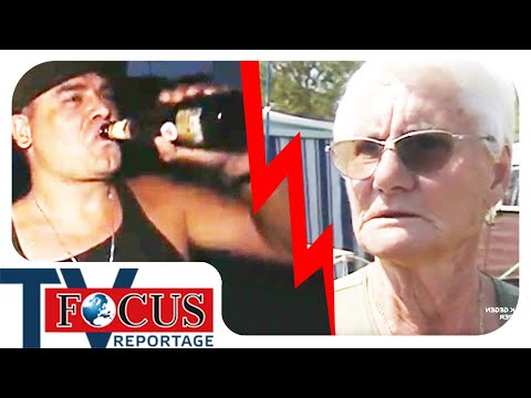 Dauercamper gegen Partyvolk: Wenn Jugendliche campen gehen | Focus TV Reportage