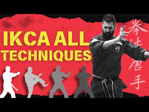 IKCA Chinese Kenpo Karate Techniques