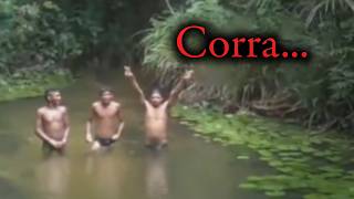 Porque a Floresta Amazônica é Tão Bizarra 💀