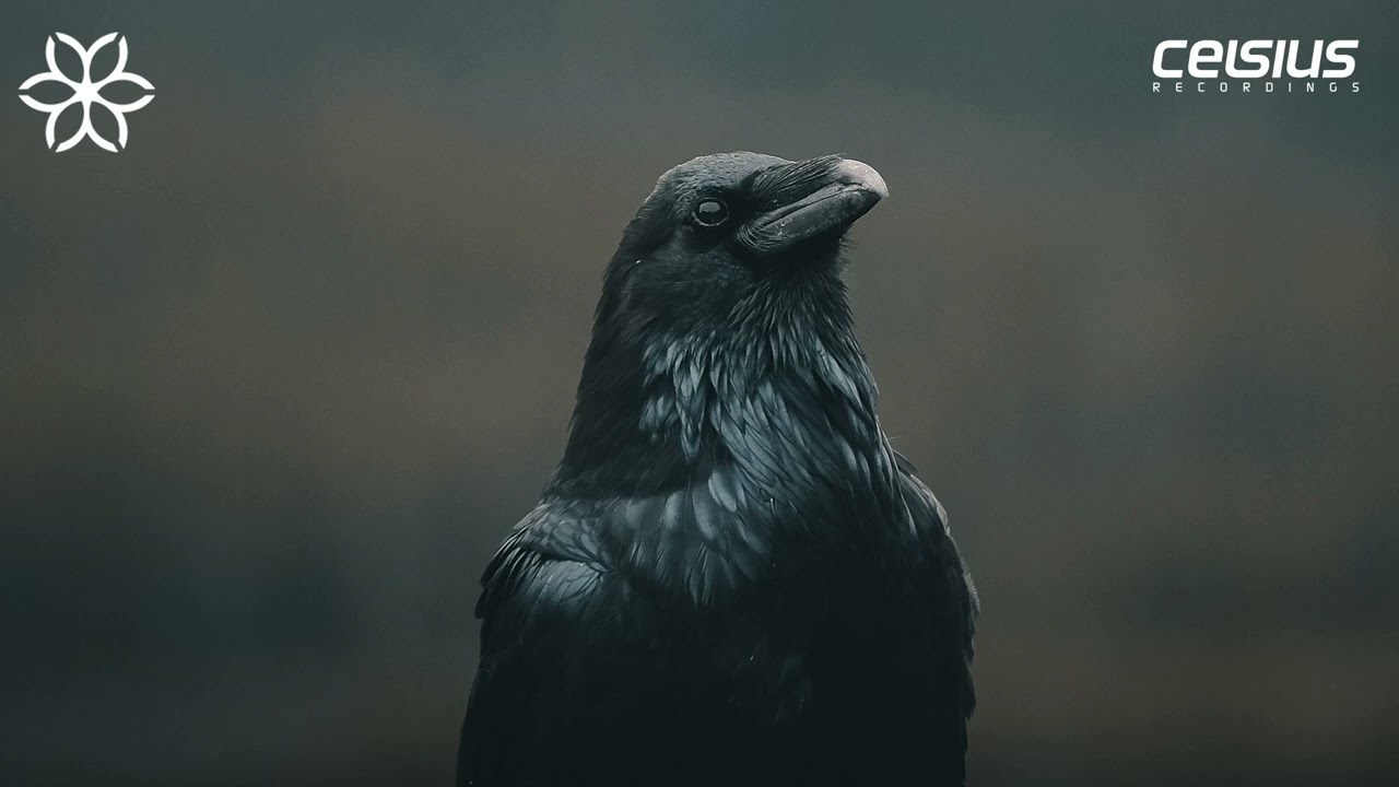 Echomatics - Soft Landing