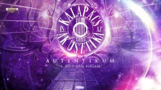 Kalapács és az Akusztika - Bízd rám magam (hivatalos szöveges / official lyrics video)