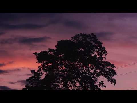 "Heart" - Sleeping At Last (Micro Music Video)