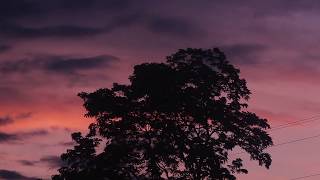 &quot;Heart&quot; - Sleeping At Last (Micro Music Video)