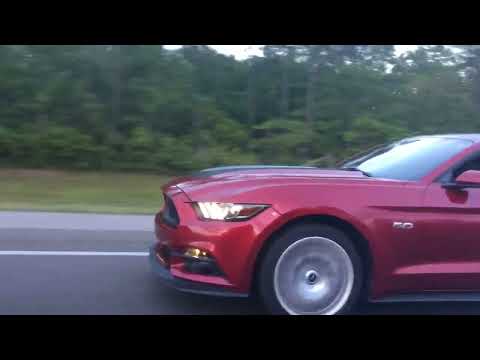 Scatpack vs 5.0 mustang